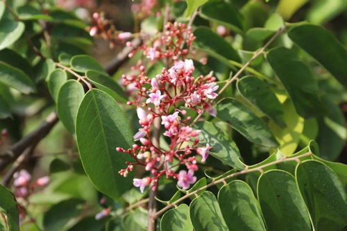 遇見陽光 東區(qū)田園農(nóng)莊，一場與光的詩意對話